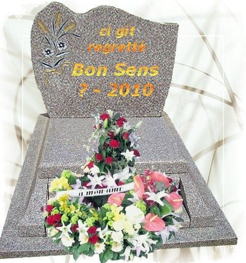 trouvez cher marinestla