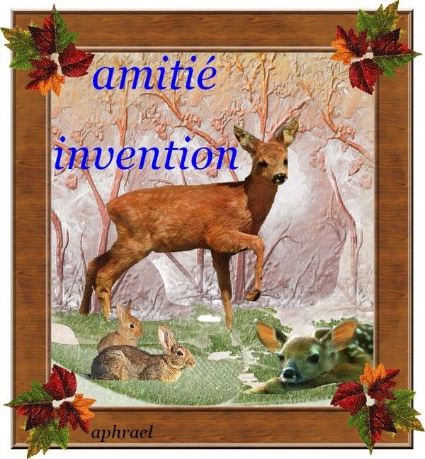 cadeau pour invention